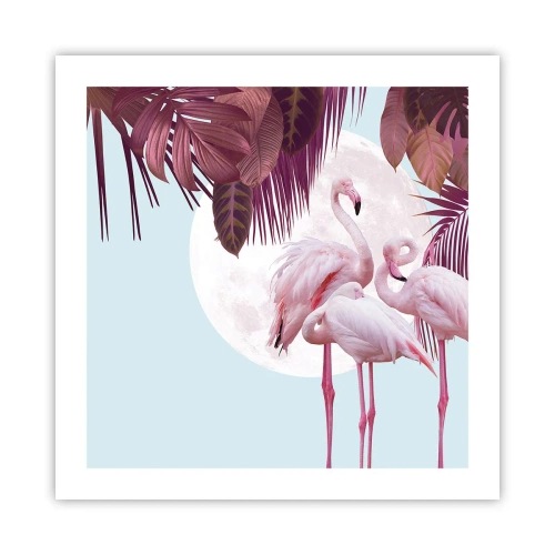 Poster - Drie vogel genaden - 50x50 cm