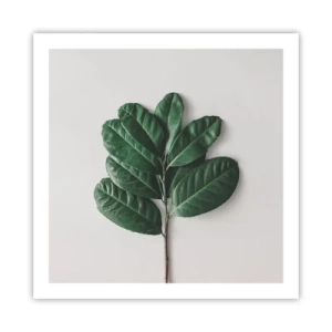 Poster - Een tekening van de pure natuur - 60x60 cm