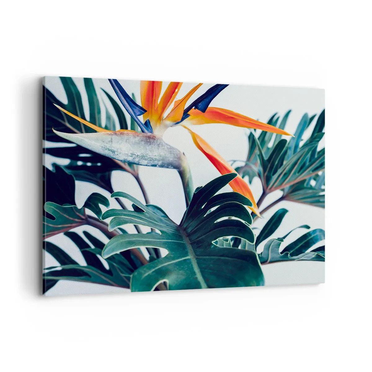 Schilderen op canvas - Vogelstruik - 100x70 cm