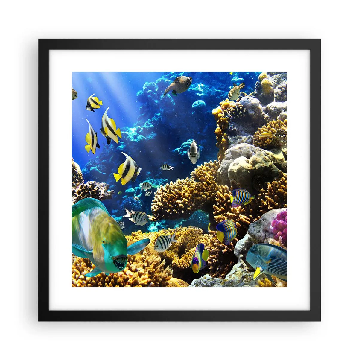 Poster in een zwarte lijst - Veel verkeer op de vakantieroute - 40x40 cm