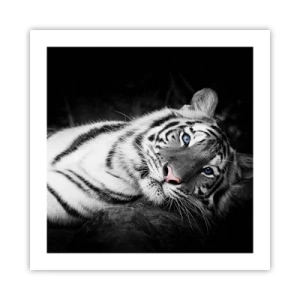 Poster - Wildheid en vrede - 50x50 cm