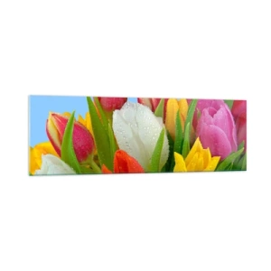 Schilderen op glas - Een bloemenregenboog in dauwdruppels - 160x50 cm