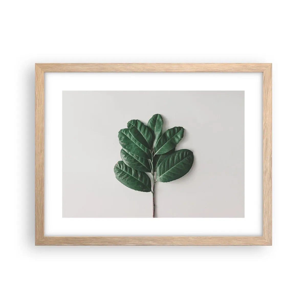 Een poster in een licht eiken lijst - Een tekening van de pure natuur - 40x30 cm