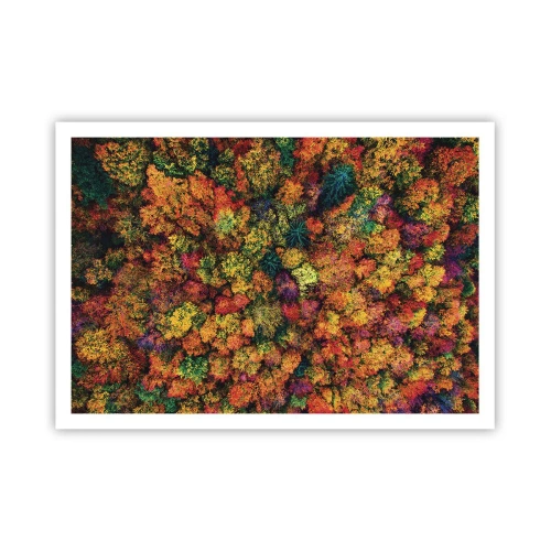 Poster - Boeket herfstbomen - 100x70 cm