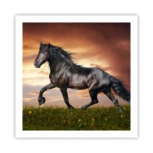 Poster - Zwarte Prins - 60x60 cm