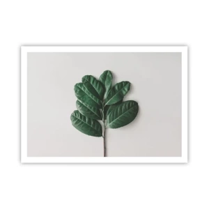 Poster - Een tekening van de pure natuur - 100x70 cm