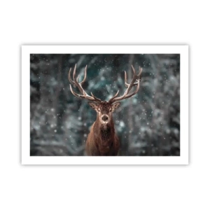 Poster - Gekroond tot koning van het bos - 70x50 cm