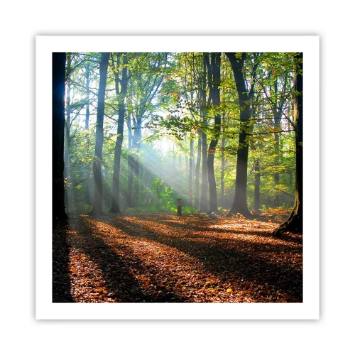 Poster - Lichten en schaduwen - 60x60 cm
