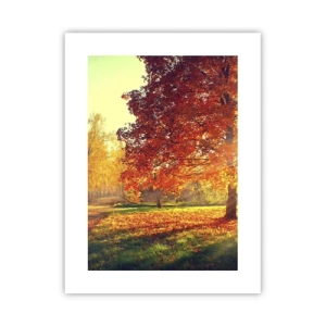 Poster - Rood is mooi - 30x40 cm