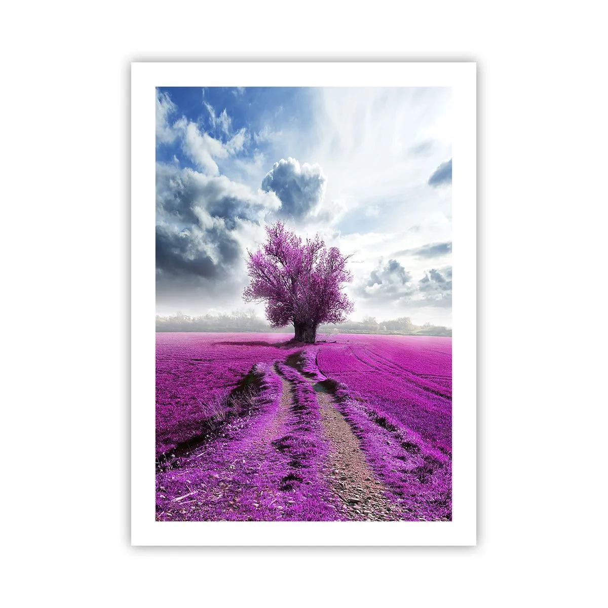 Poster - Heide - heilige plek - 50x70 cm