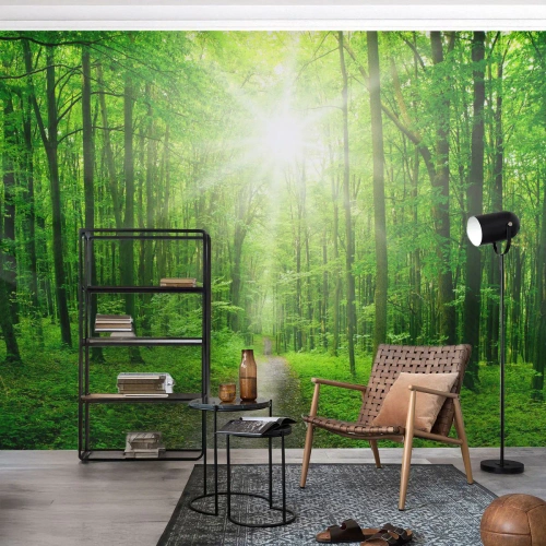 Fotobehang Standard Eco - De groene kathedraal - Landschap, Woud, Stralen van de zon - 400x280 cm