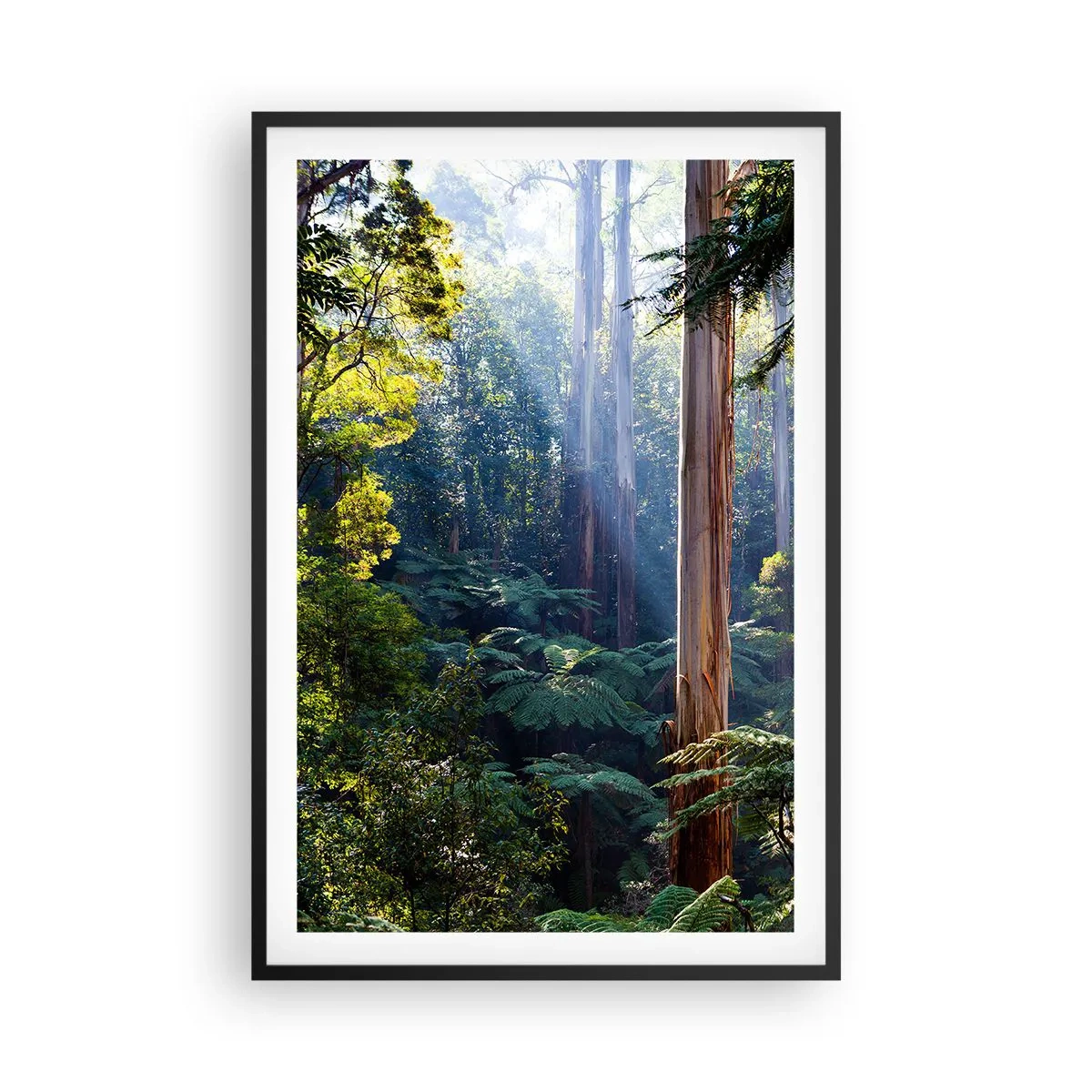 Poster in een zwarte lijst - Een bossprookje - 61x91 cm