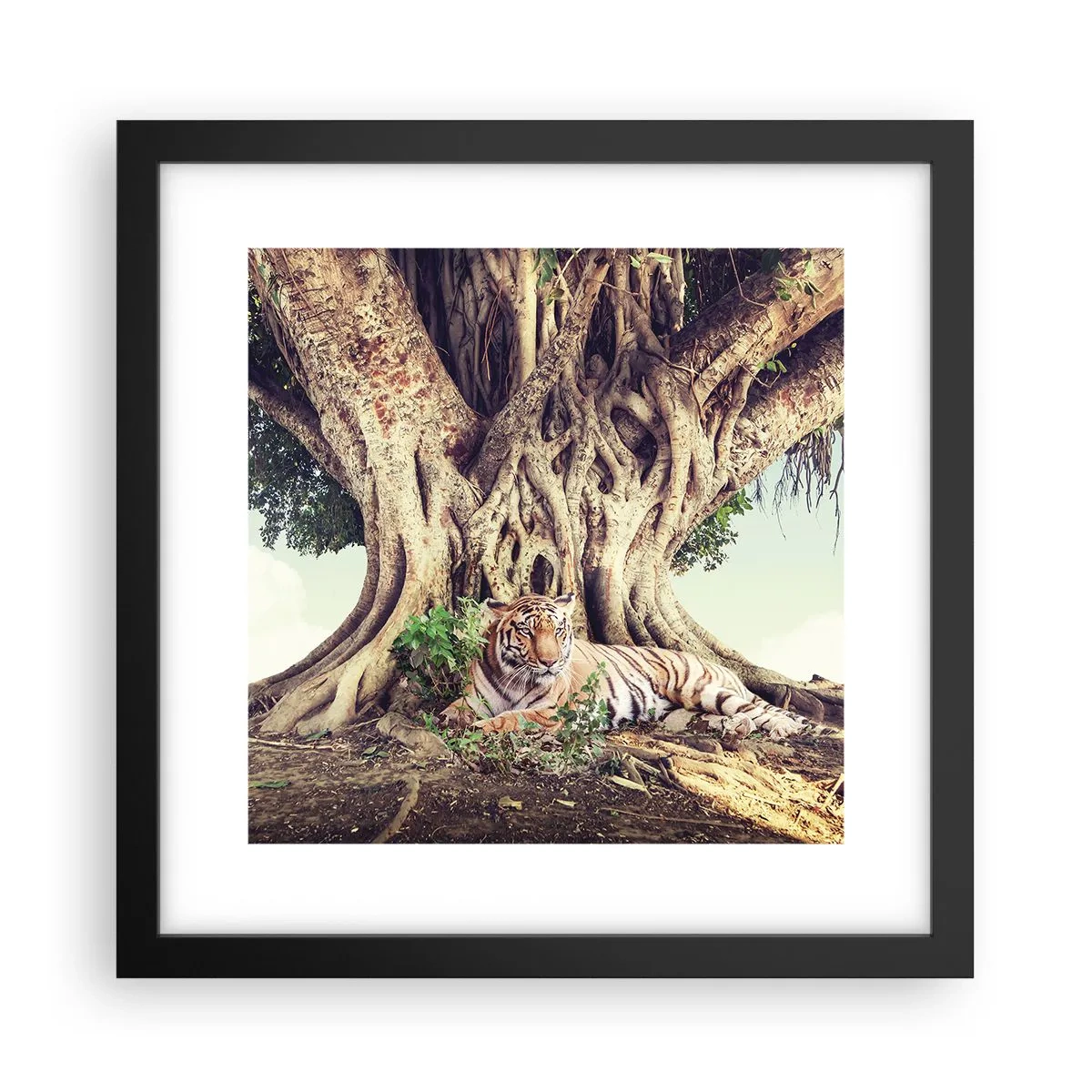 Poster in een zwarte lijst - Uitzicht vanuit het boek Genesis - 30x30 cm