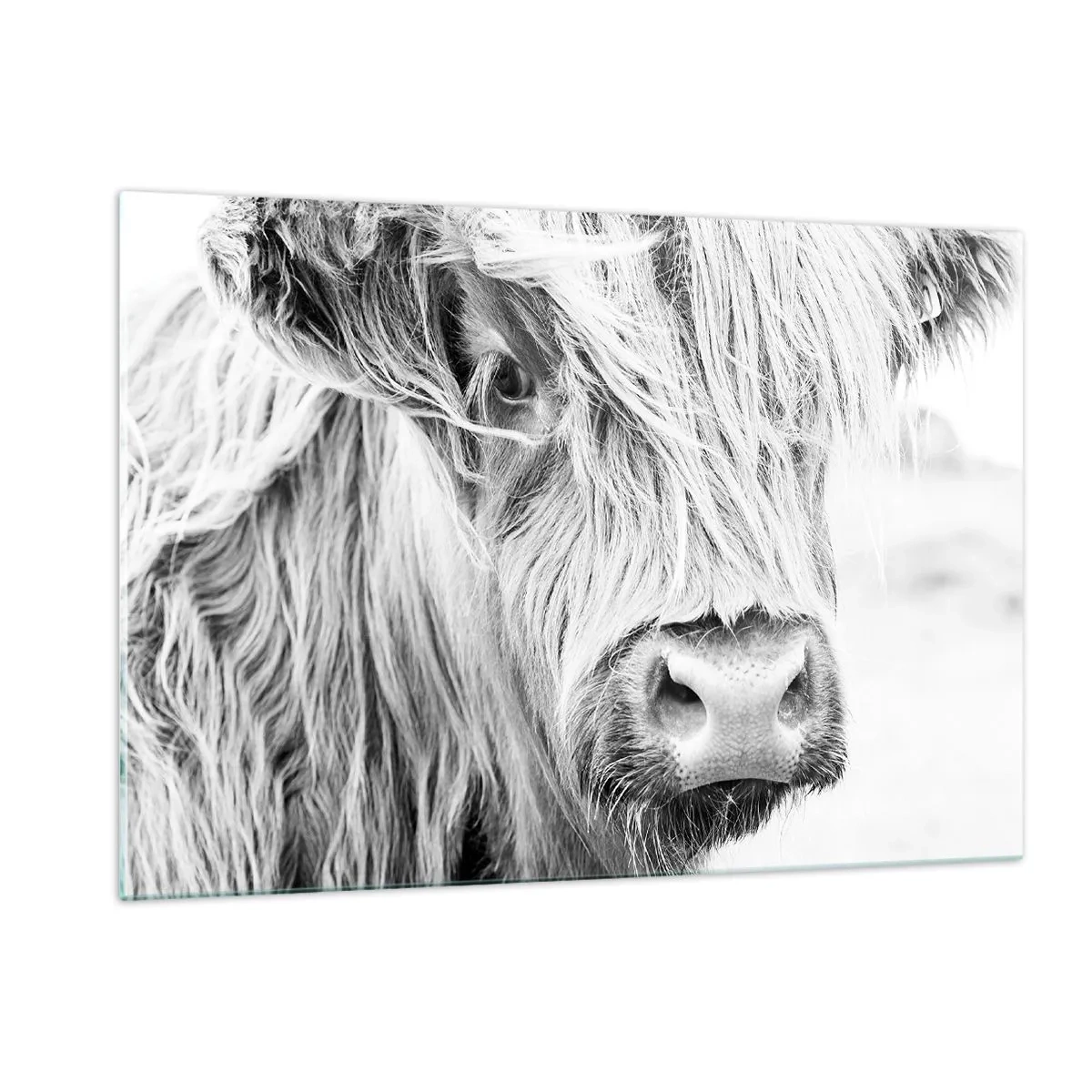 Schilderen op glas - Schotse wildheid - 120x80 cm