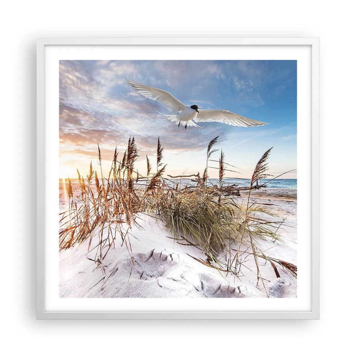 Poster in een witte lijst - Wind uit zee - 60x60 cm