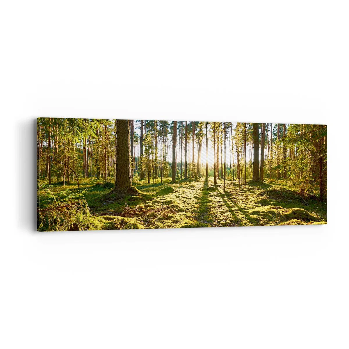 Schilderen op canvas - … Achter de zeven bossen - 90x30 cm