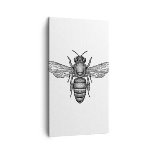 Schilderen op canvas - Insectenportret - 45x80 cm