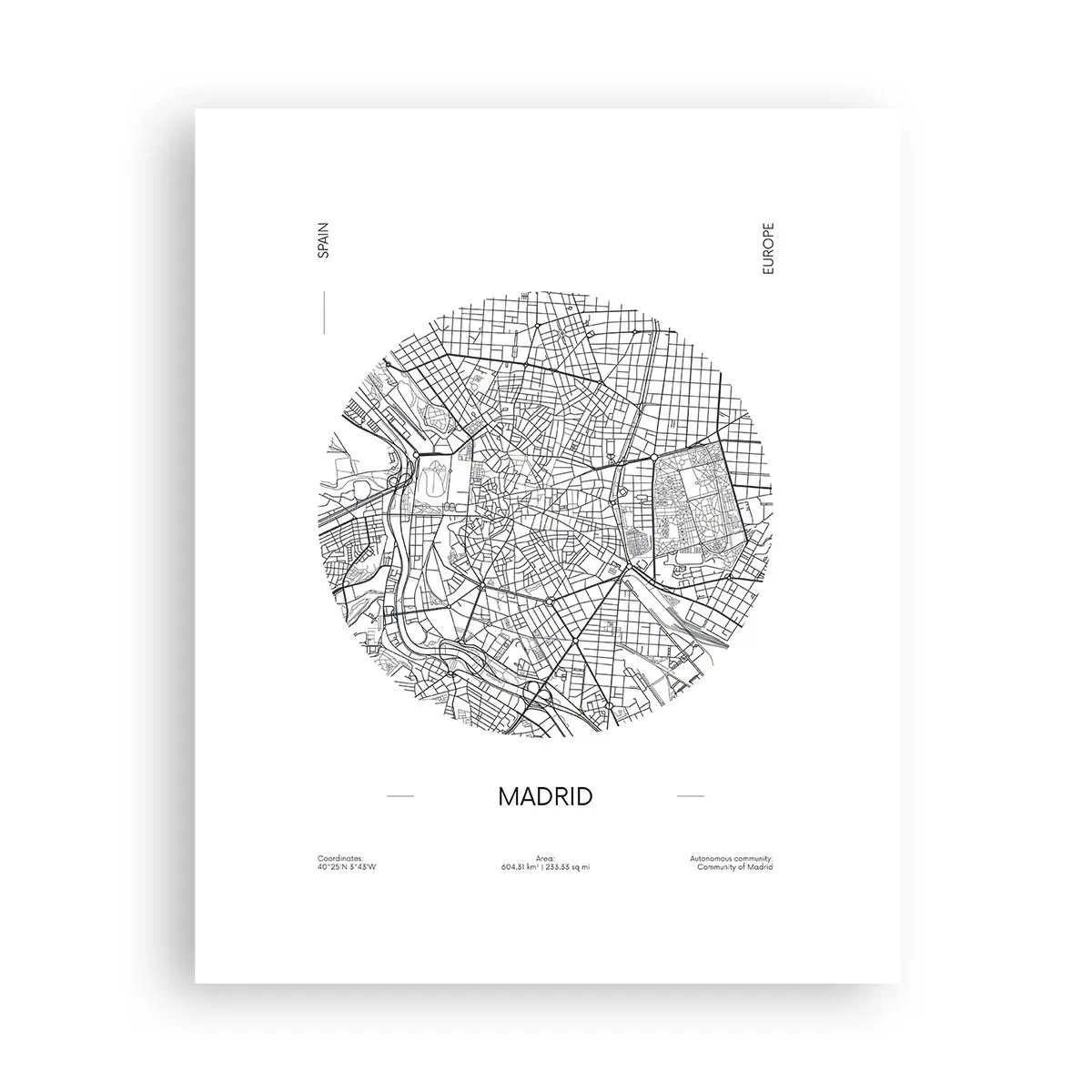 Poster - Anatomie van Madrid - 40x50 cm