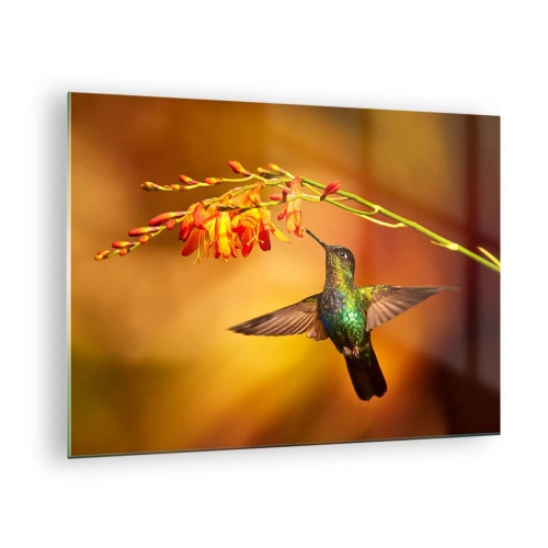 Schilderen op glas - Kolibrie bij bloemen in een gouden gloed - 70x50cm - Een boodschapper van licht volgens de Maya - Moderne wanddecoratie voor woonkamer en slaapkamer ARTTOR