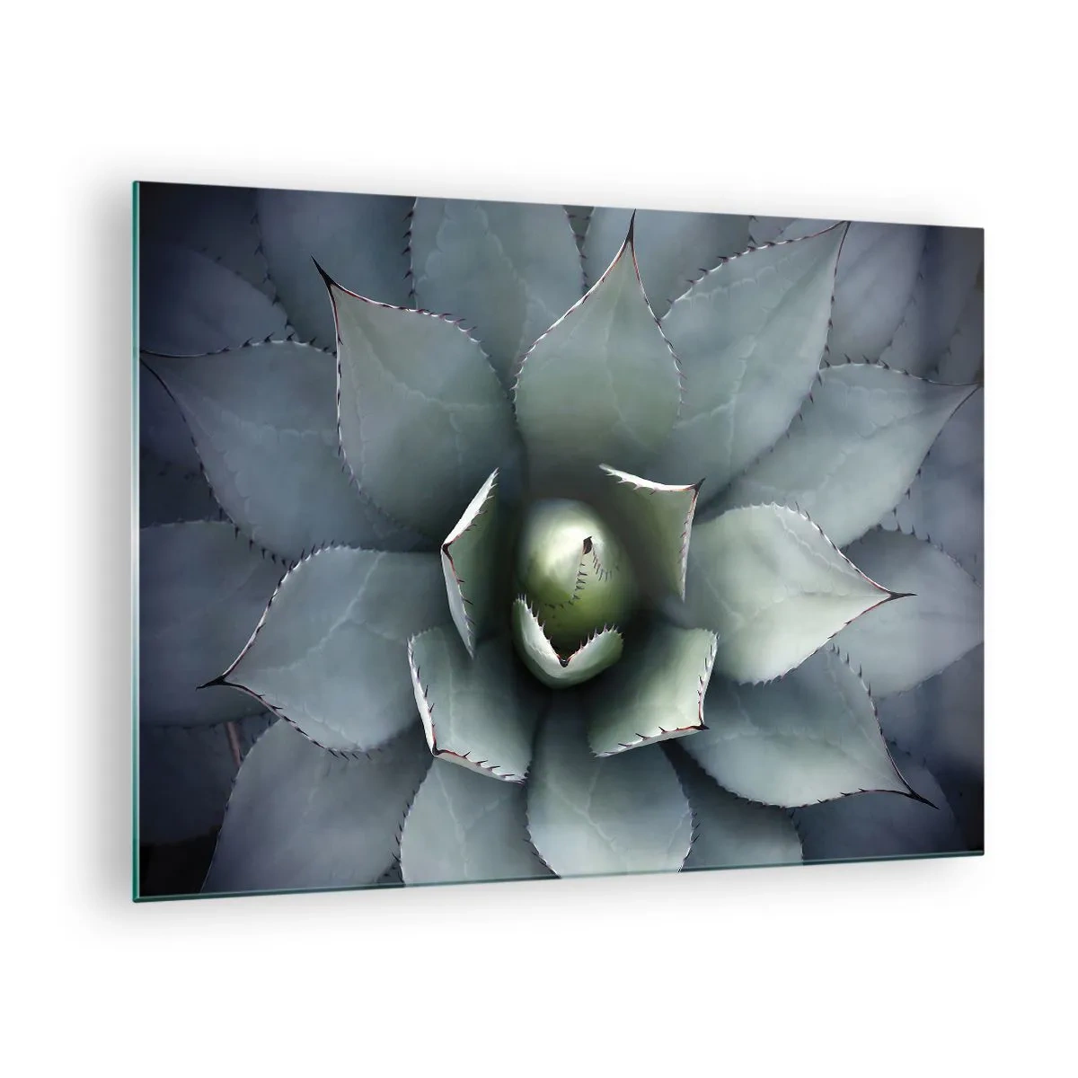 Schilderen op glas - Een close-up van de symmetrische, staalkleurige agavebladeren. - 70x50cm - Het trekt aan en waarschuwt - Moderne wanddecoratie voor woonkamer en slaapkamer ARTTOR
