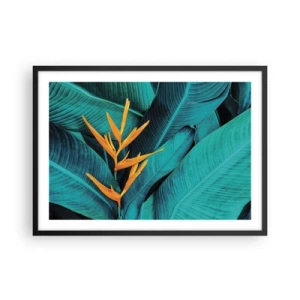 Poster in een zwarte lijst - Eden bloem - 70x50 cm