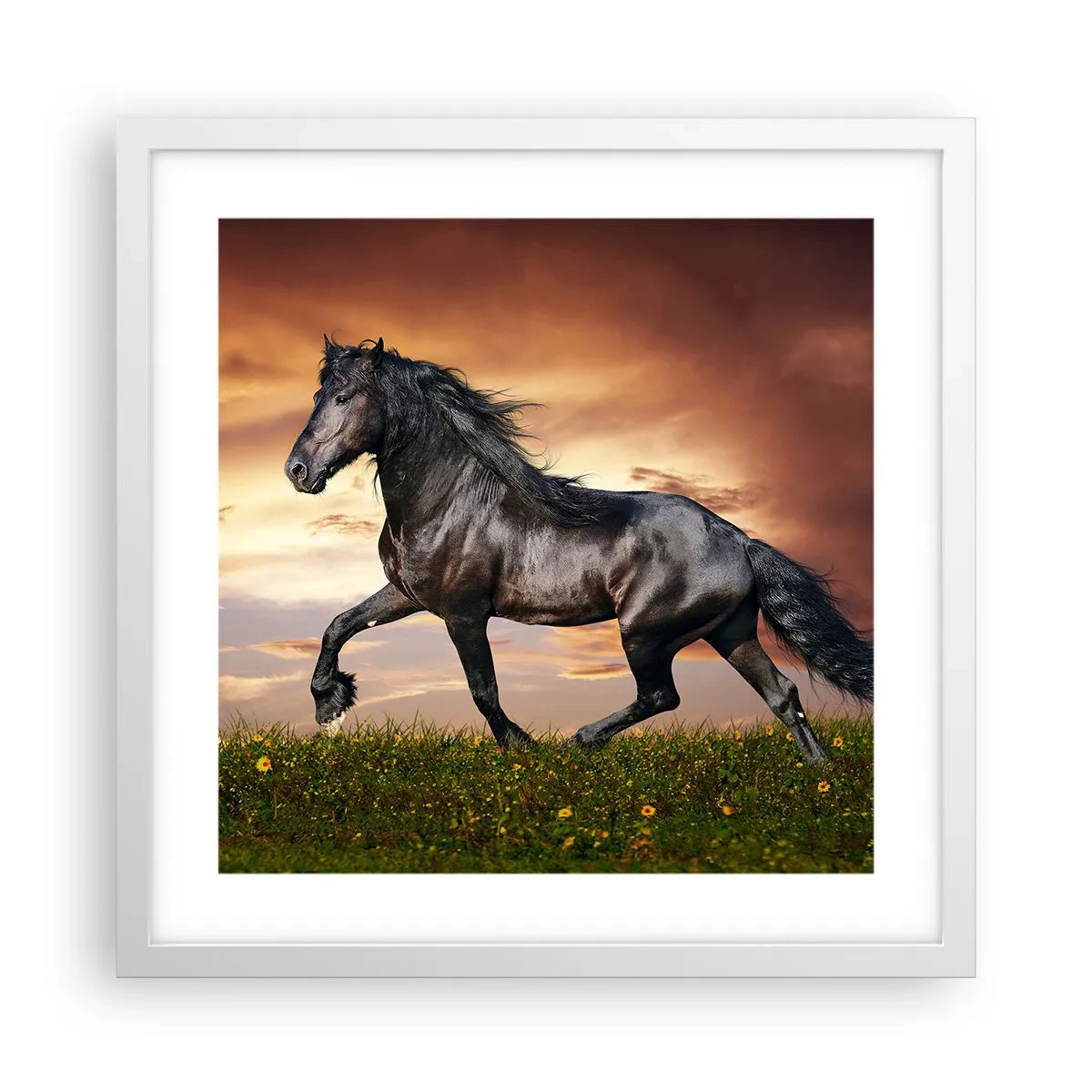 Poster in een witte lijst - Zwarte Prins - 40x40 cm