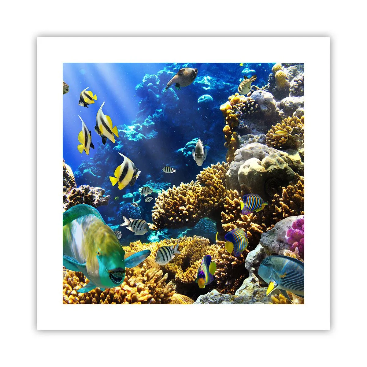 Poster - Veel verkeer op de vakantieroute - 40x40 cm