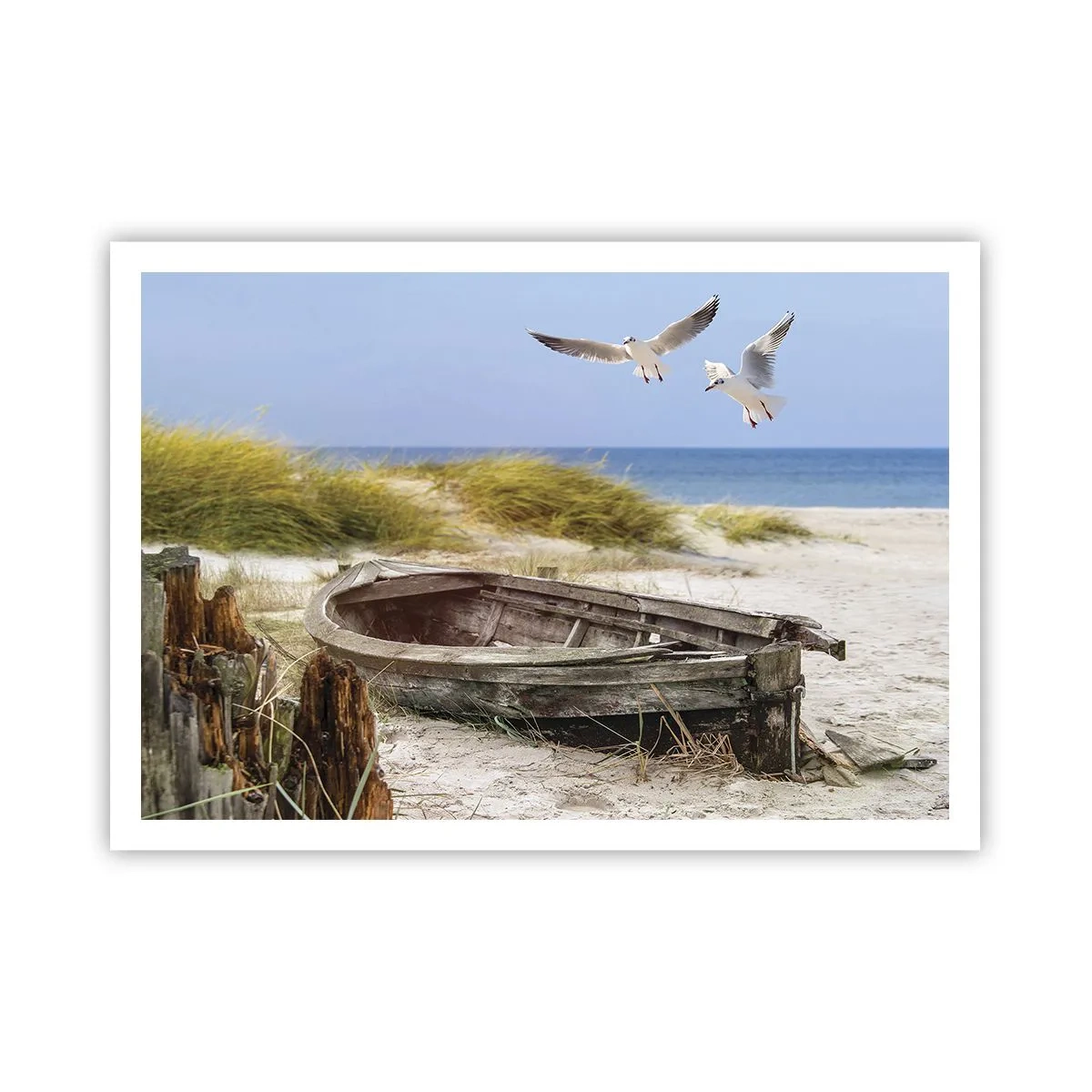 Poster - Badend in de wind - 100x70 cm