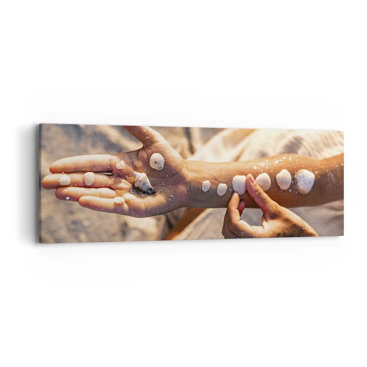 Schilderen op canvas - Schoonheid binnen handbereik - 90x30 cm