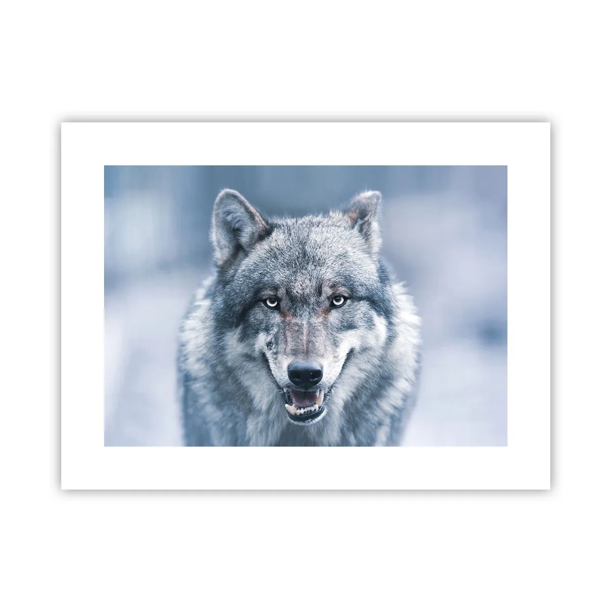 Poster - Ga jij de uitdaging aan? - 40x30 cm