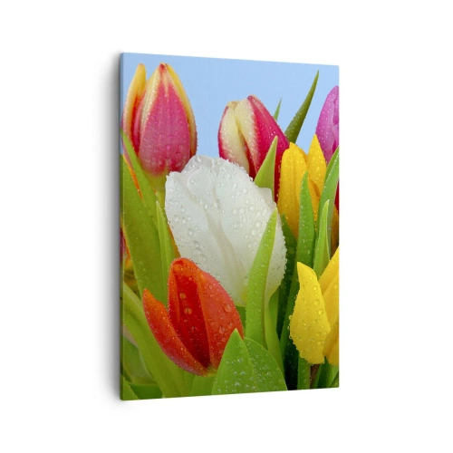 Schilderen op canvas - Een bloemenregenboog in dauwdruppels - 50x70 cm