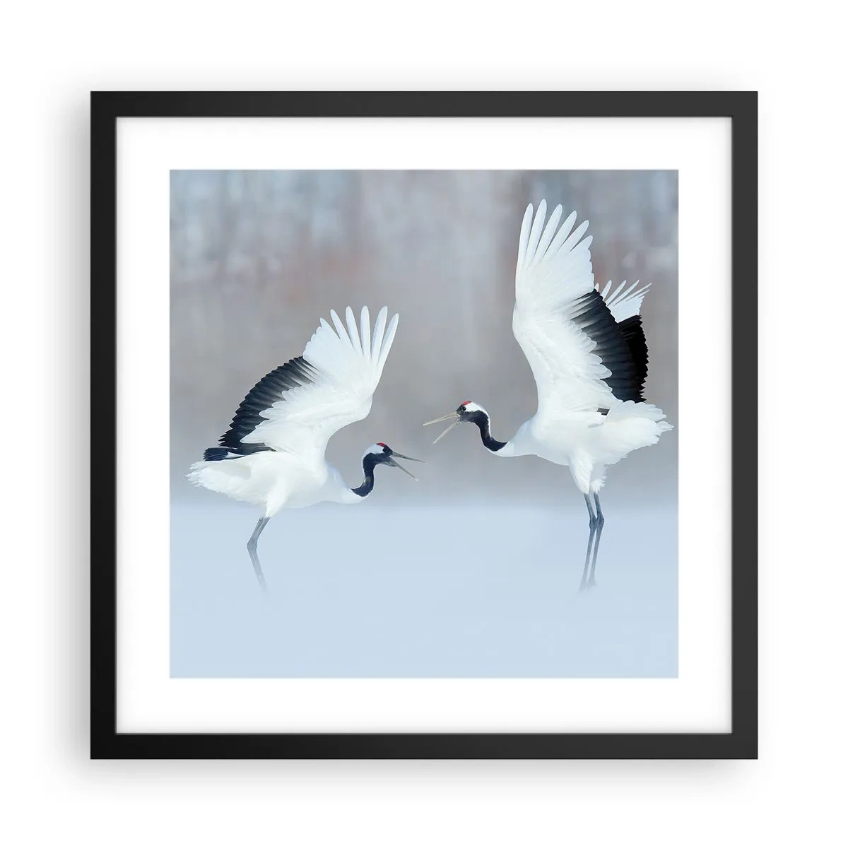 Poster in een zwarte lijst - Dans in de mist - 40x40 cm