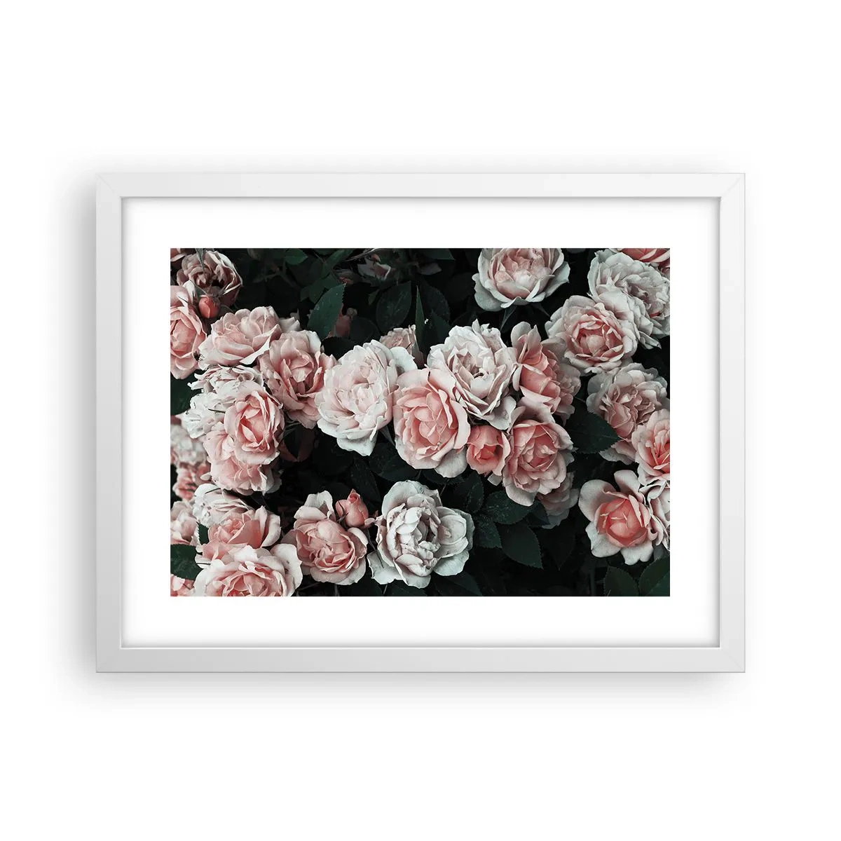 Poster in een witte lijst - Rozen ensemble - 40x30 cm