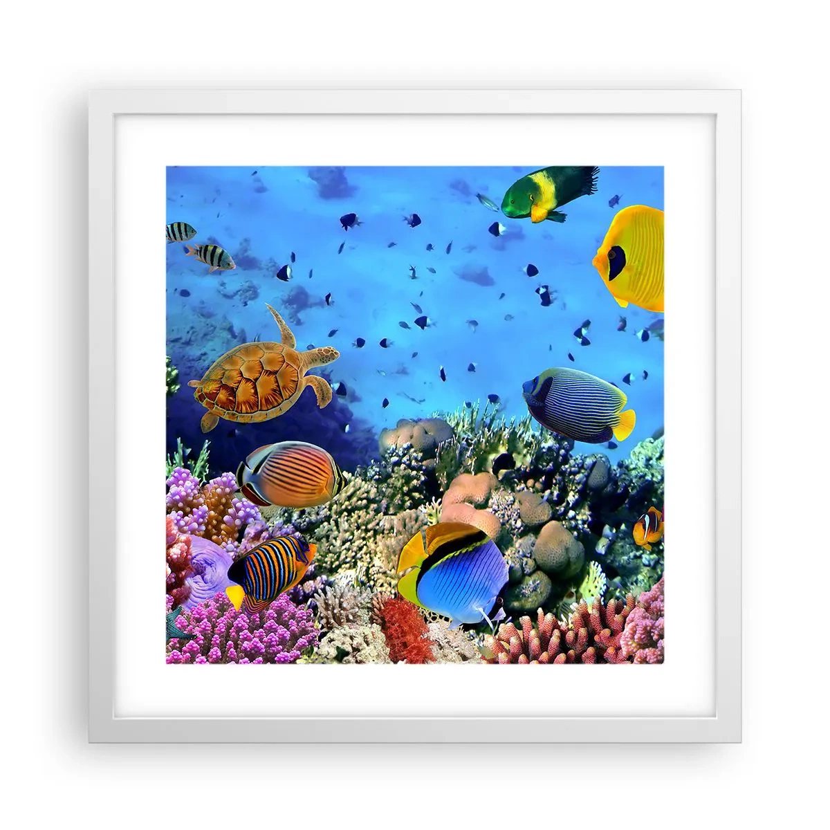 Poster in een witte lijst - En wat weten we over het leven... - 40x40 cm