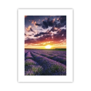 Poster - Lavendel wereld - 30x40 cm