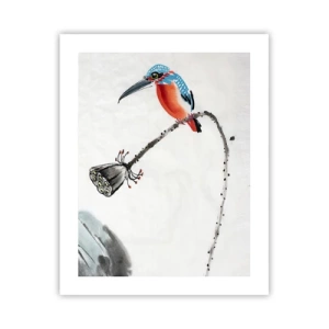 Poster - Het leven van de weide - 40x50 cm