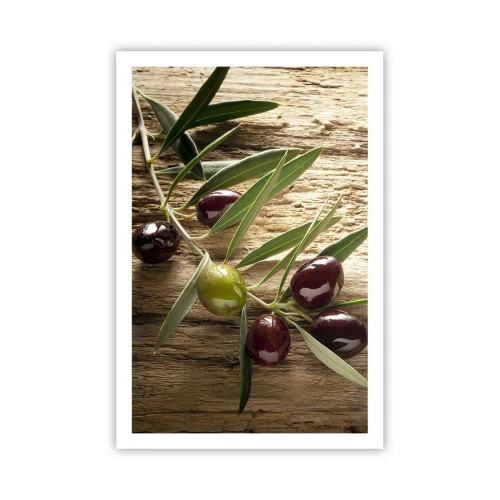 Poster - Rechtstreeks uit de natuur - 61x91 cm