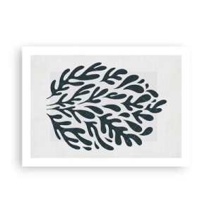 Poster - Vormen van de natuur - 70x50 cm