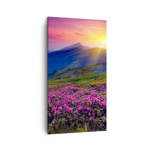 Schilderen op canvas - … En eromheen ruikt het naar bergdennen en de geur van kruiden - 45x80 cm