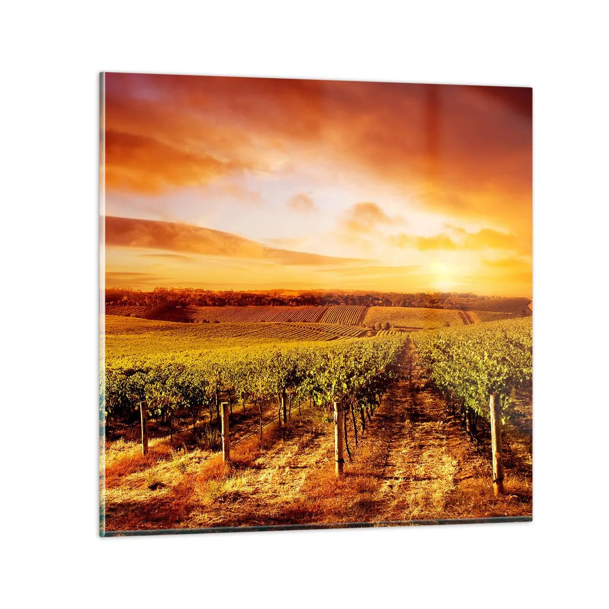 Schilderen op glas - Licht fruitig met een vleugje zonneschijn - 70x70 cm