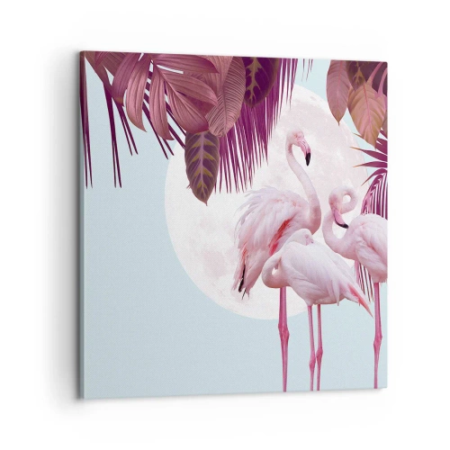 Schilderen op canvas - Drie vogel genaden - 60x60 cm