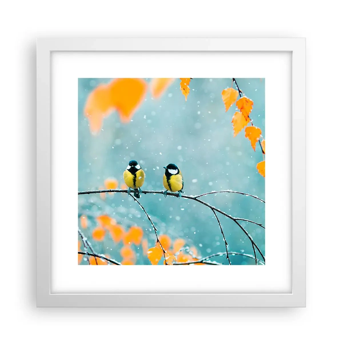 Poster in een witte lijst - Vogelroddel - 30x30 cm