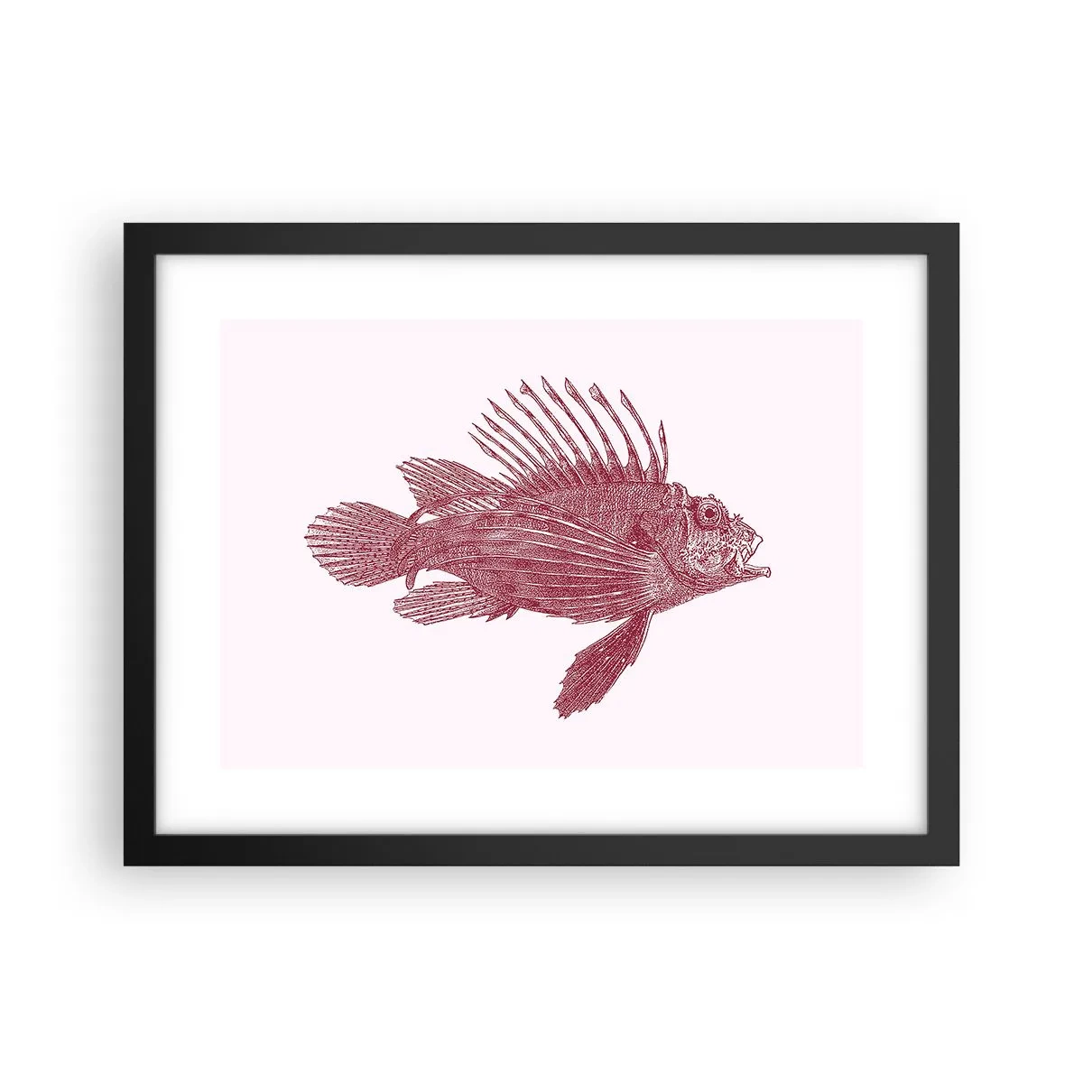Poster in een zwarte lijst - Inwoner van exotische wateren - 40x30 cm