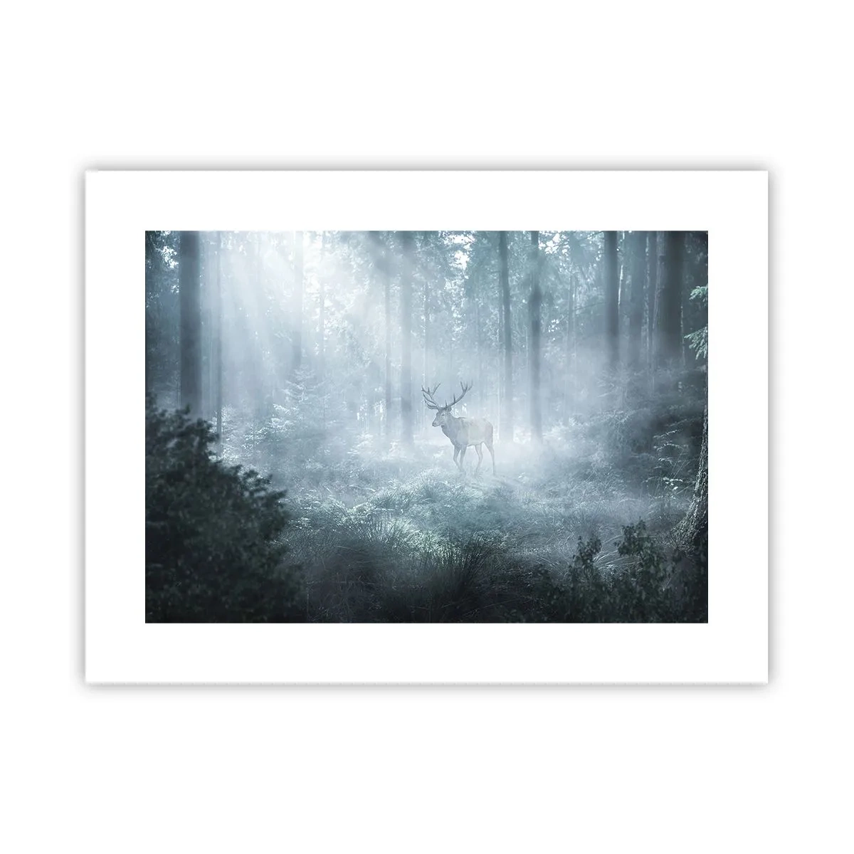 Poster - Ochtendbezoek aan het landgoed - 40x30 cm