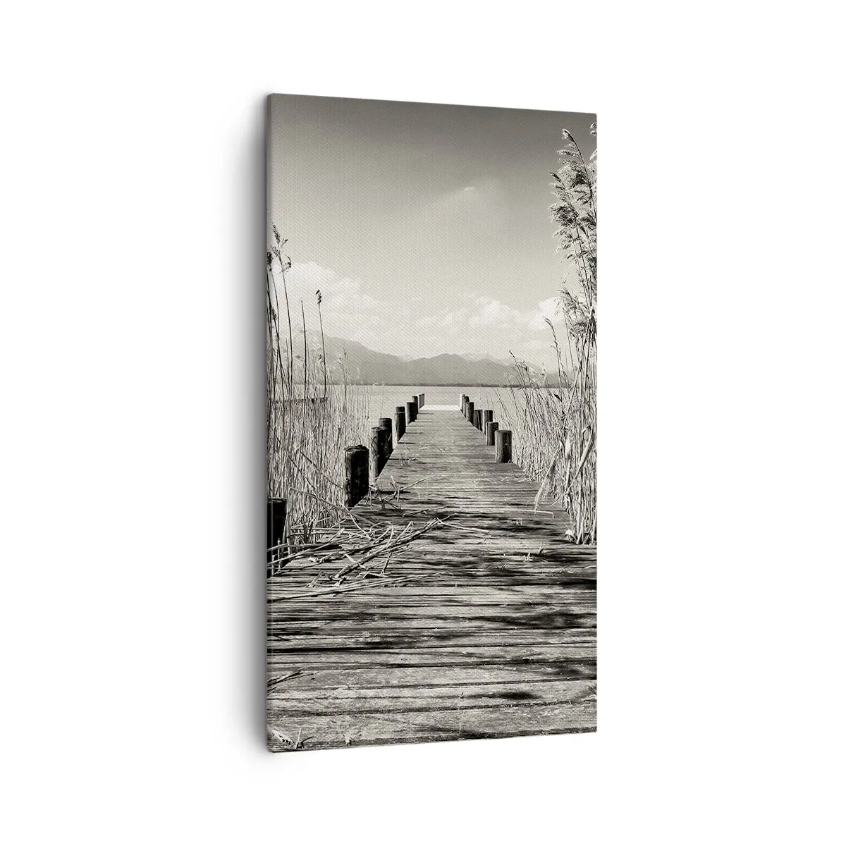 Schilderen op canvas - In de stilte van het gras - 45x80 cm