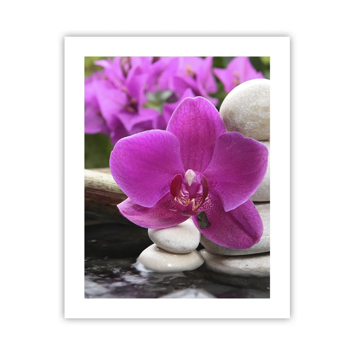 Poster - Je bent al aan het rusten - 40x50 cm