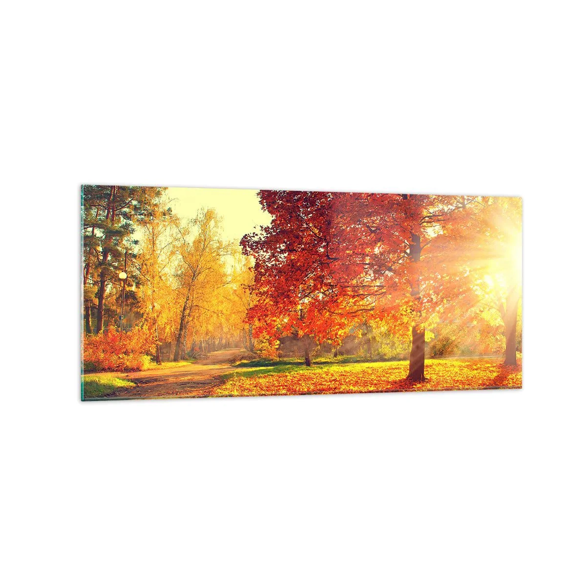 Schilderen op glas - Rood is mooi - 120x50 cm