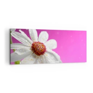Schilderen op canvas - Bescheiden in zijn schoonheid - 100x40 cm