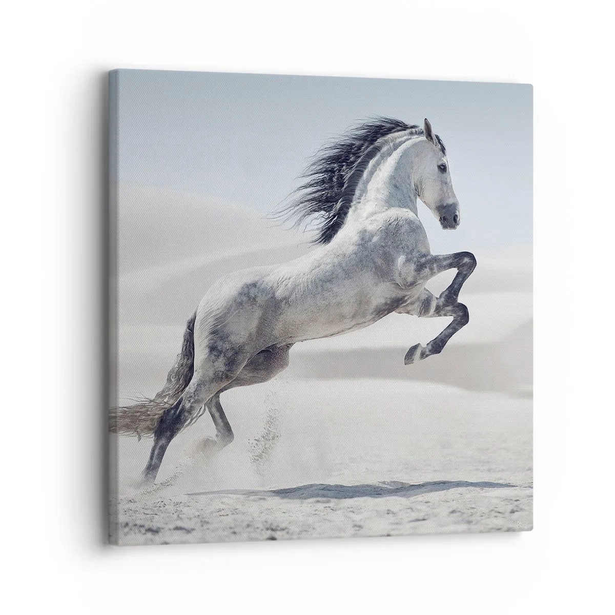 Schilderen op canvas - Arabische prins - 30x30 cm