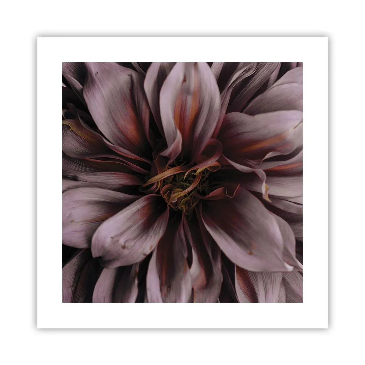 Poster - Een bloemenhart - 40x40 cm